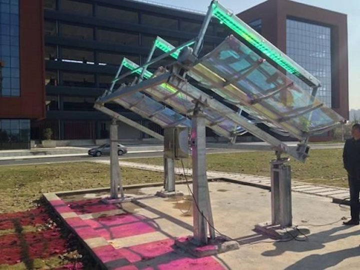 A new type of concentrating solar panel still harvests solar energy for electricity generation, but lets red and blue light go through to illuminate crops growing underneath, without sacrificing growth performance. (Image credit: IAT)