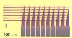 NIST's grid-on-a-chip distributes light signals precisely, showcasing a potential new design for neural networks. The 3D structure enables complex routing schemes that are necessary to mimic the brain, with light traveling farther and faster than electrical signals. NIST's grid-on-a-chip distributes light signals precisely, showcasing a potential new design for neural networks. The 3D structure enables complex routing schemes that are necessary to mimic the brain, with light traveling farther and faster than electrical signals.