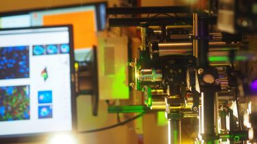 Content Dam Bow Online Articles 2018 08 178217 Web2