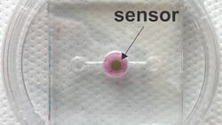 Content Dam Bow Online Articles 2018 08 Biosensor Content Dam Bow Online Articles 2018 08 Biosensor
