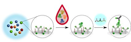 Content Dam Bow Online Articles 2018 08 Cover2 20180808web