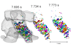 Rotary Alu Tomos Rotary Alu Tomos