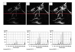 Article3 Fig 1 Article3 Fig 1