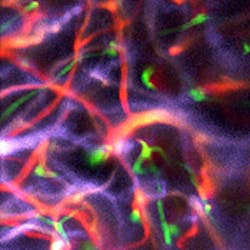 Content Dam Bow Online Articles 2018 09 334399 Blinder Cover Submission Content Dam Bow Online Articles 2018 09 334399 Blinder Cover Submission