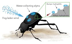 Content Dam Ils Print Articles 2018 05 1809ils Mat F2 Content Dam Ils Print Articles 2018 05 1809ils Mat F2