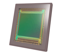 Content Dam Lfw Online Articles 2018 09 1809lfw Pro 14 Content Dam Lfw Online Articles 2018 09 1809lfw Pro 14