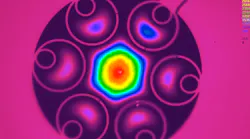 Content Dam Lfw Online Articles 2018 09 Orc Namf Fibre Cross Section