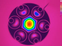 Content Dam Lfw Online Articles 2018 09 Orc Namf Fibre Cross Section Content Dam Lfw Online Articles 2018 09 Orc Namf Fibre Cross Section