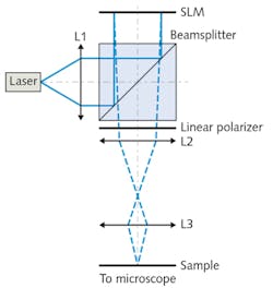 The holographic illumination setup, by researchers at Technische Universität Dresden, relies on a spatial light modulator (SLM), incorporating a ferroelectric liquid crystal, for focusing on the sample. The setup also includes a 450-nm-emitting laser diode, lenses (L1–L3), a nonpolarizing beamsplitter, and a linear polarizer. A camera mounted on a commercial inverted microscope captures illumination of the specimen. The holographic illumination setup, by researchers at Technische Universität Dresden, relies on a spatial light modulator (SLM), incorporating a ferroelectric liquid crystal, for focusing on the sample. The setup also includes a 450-nm-emitting laser diode, lenses (L1–L3), a nonpolarizing beamsplitter, and a linear polarizer. A camera mounted on a commercial inverted microscope captures illumination of the specimen.