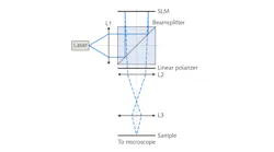 The holographic illumination setup, by researchers at Technische Universität Dresden, relies on a spatial light modulator (SLM), incorporating a ferroelectric liquid crystal, for focusing on the sample. The setup also includes a 450-nm-emitting laser diode, lenses (L1–L3), a nonpolarizing beamsplitter, and a linear polarizer. A camera mounted on a commercial inverted microscope captures illumination of the specimen.