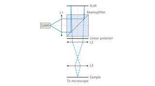 The holographic illumination setup, by researchers at Technische Universit&auml;t Dresden, relies on a spatial light modulator (SLM), incorporating a ferroelectric liquid crystal, for focusing on the sample. The setup also includes a 450-nm-emitting laser diode, lenses (L1&ndash;L3), a nonpolarizing beamsplitter, and a linear polarizer. A camera mounted on a commercial inverted microscope captures illumination of the specimen.