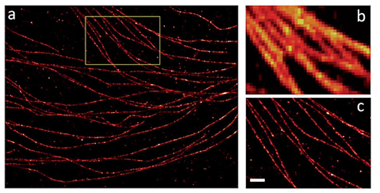 Cw Lasers Optimized For Live Cell Super Resolution Microscopy Laser Focus World