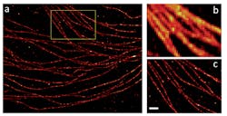 Coherent Oct Fig1 Coherent Oct Fig1