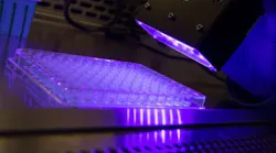 Content Dam Bow Online Articles 2018 10 Leds Mrsa Web