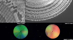 Scanning electron micrographs show extreme close-ups of the Columbia University broadband metasurface lens (top left and right). The lens is composed of silicon nanopillars with various cross-sectional shapes patterned on a glass substrate. The bottom images show two elements of a multielement metalens imaging system.