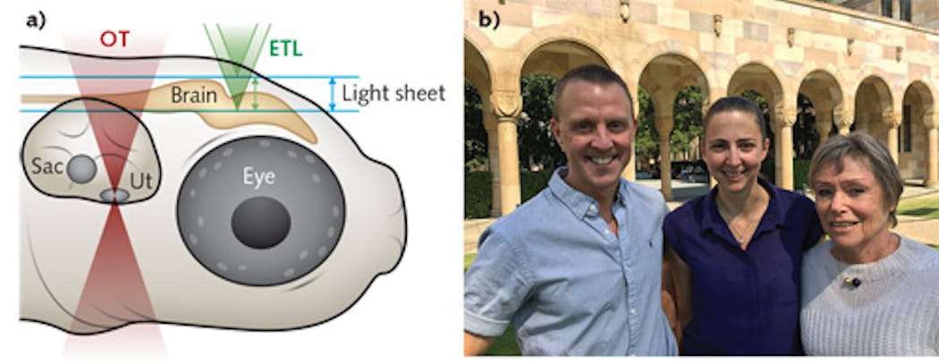 During optical trapping (OT) of ear stones in the saccule (sac) and utricle (ut)&mdash;two organs of the inner ear involved in sensing gravity and movement&mdash;in a zebrafish larva, researchers performed volumetric selective planar illumination microscopy (SPIM) of an area 300 &mu;m deep into the brain. With the help of 2D galvo mirrors and an electrically tunable lens coordinating control, the imaging technique scans two 488 nm sheets of light through the z-axis, one from the front of the zebrafish and the other from the side (a); associate professor Ethan Scott, Dr. Itia A Favre-Bulle, and professor Halina Rubinsztein-Dunlop are part of the Optical Physics in Neuroscience team at the University of Queensland that conducted the work, which won the 2018 Australian Museum Eureka Prize for Excellence in Interdisciplinary Scientific Research.