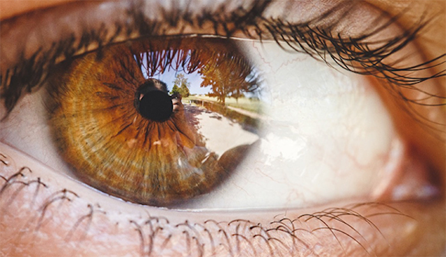Humaneye 600px