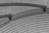 Clarkmxr 1new Clarkmxr 1new