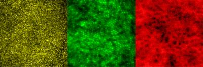 Content Dam Bow Online Articles 2018 11 185750 Web