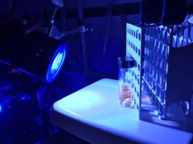 Content Dam Bow Online Articles 2018 11 Blue Leds