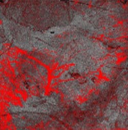 Content Dam Bow Online Articles 2018 12 Michelson Oct 2 Web Content Dam Bow Online Articles 2018 12 Michelson Oct 2 Web