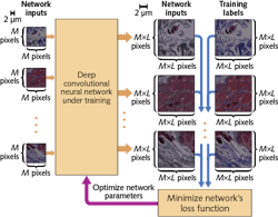 FIGURE 3. Here, a deep neural network developed by Aydogan Ozcan and his colleagues is trained to increase the resolution of images by providing low-resolution input images and corresponding high-resolution training labels to the neural network. Once training is complete, the network can take any low-resolution image and quickly generate, in a single pass forward, a higher-resolution version with improved field of view and depth of field.