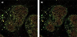 FIGURE 2. Images of a nuclear pore acquired with the Olympus FV3000 confocal system before (a) and after (b) nonlinear deconvolution using an advanced maximum likelihood estimation (AdvMLE) deconvolution algorithm.