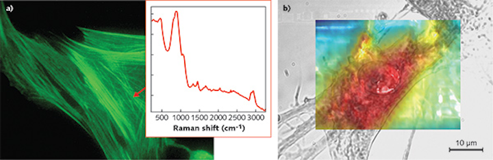 Raman Spectroscopy Multi Wavelength Excitation In Raman Spectroscopy Laser Focus World