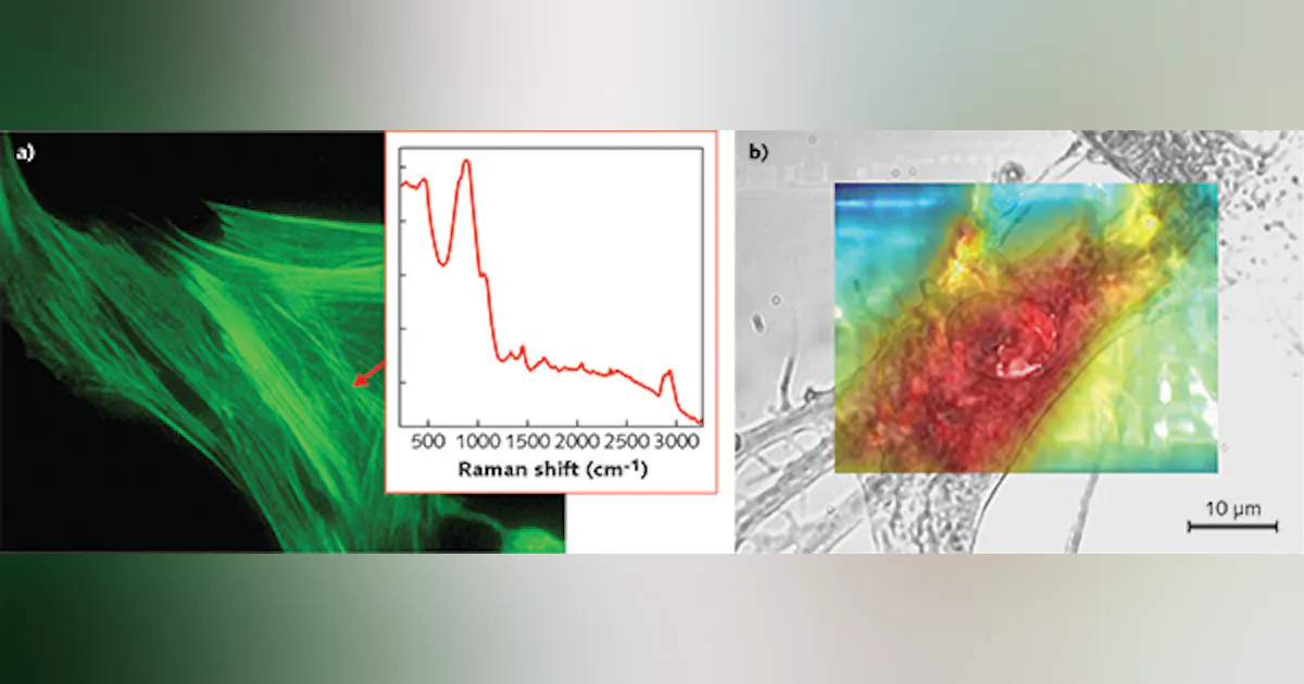Raman Spectroscopy: Multi-wavelength excitation in Raman spectroscopy ...