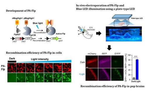 Content Dam Bow Online Articles 2019 01 190833 Web2