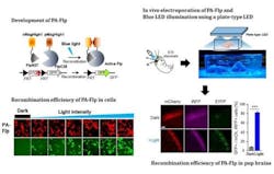 Content Dam Bow Online Articles 2019 01 190833 Web2 Content Dam Bow Online Articles 2019 01 190833 Web2