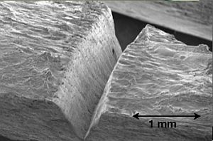 Content Dam Etc Medialib New Lib Laser Focus World Online Articles 2010 08 64160