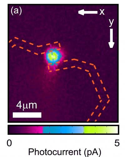 FIGURE. This image shows photocurrent from the nanowire detector (the yellow spot represents the region where current is generated under illumination); electrical contacts are indicated in blue, while the nanowire is indicated in green.