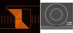 A single-mode waveguide brings light into a microspectrometer with 81 channels (left; seen from top). The resonators themselves are in a horizontal line at the center of the hourglass-shapped waveguide array. A single microdonut (right) is imaged with a scanning electron microscope.