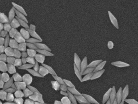 Content Dam Etc Medialib Platform 7 Laser Focus World Articles Online Exclusive Articles 2010 Global 30636