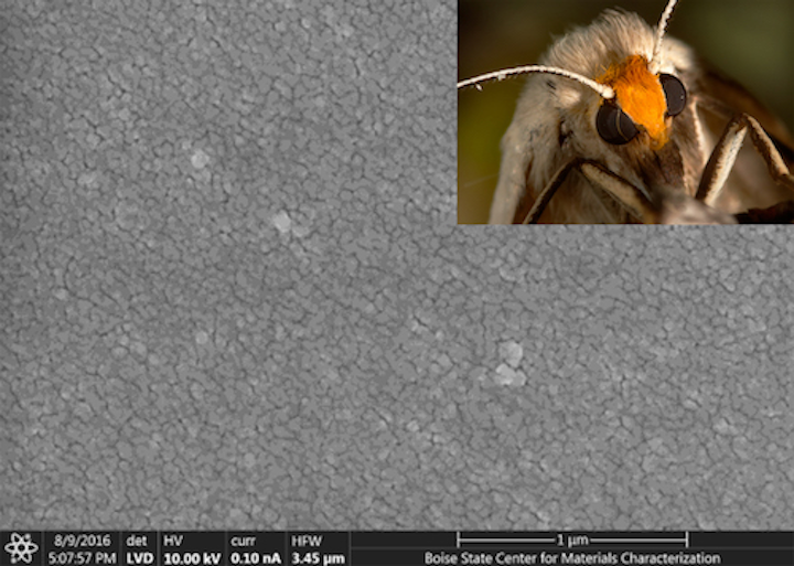 Fiberguide unveils optical fibers with randomized antireflection nanostructured end faces