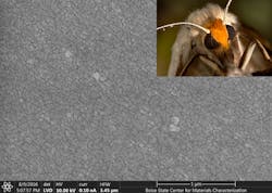 Content Dam Lfw Online Articles 2016 12 Motheye Content Dam Lfw Online Articles 2016 12 Motheye