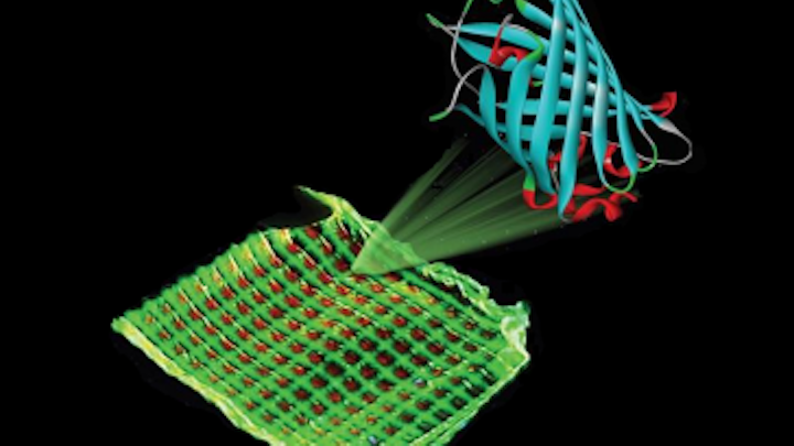 Luminescent proteins provide color for ecological and cheap biodisplays