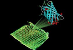 Luminescent proteins provide color for ecological and cheap biodisplays