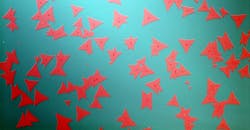 Photomicrograph shows two-dimensional crystals of the thin-film semiconductor molybdenum disulfide. Photomicrograph shows two-dimensional crystals of the thin-film semiconductor molybdenum disulfide.