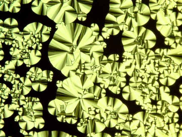 University of Tokyo and RIKEN researchers perform computational logic with ultraviolet light