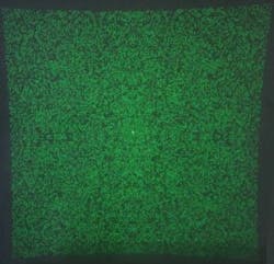 Content Dam Lfw Online Articles 2019 01 Random Ms No Zo Content Dam Lfw Online Articles 2019 01 Random Ms No Zo