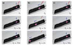 Content Dam Lfw Print Articles 2019 01 1901lfw Nb F1 Content Dam Lfw Print Articles 2019 01 1901lfw Nb F1