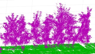 With the help of 3D point clouds from lidar measurements, the blossom and fruit set of fruit trees can be determined and used for yield estimation.