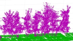 With the help of 3D point clouds from lidar measurements, the blossom and fruit set of fruit trees can be determined and used for yield estimation. With the help of 3D point clouds from lidar measurements, the blossom and fruit set of fruit trees can be determined and used for yield estimation.