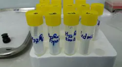 Content Dam Bow Online Articles 2019 02 Antibiotic Resistant Bacteria
