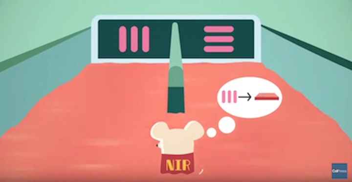 Upconversion nanoparticles in eyes enable mice to see infrared; may work for humans too