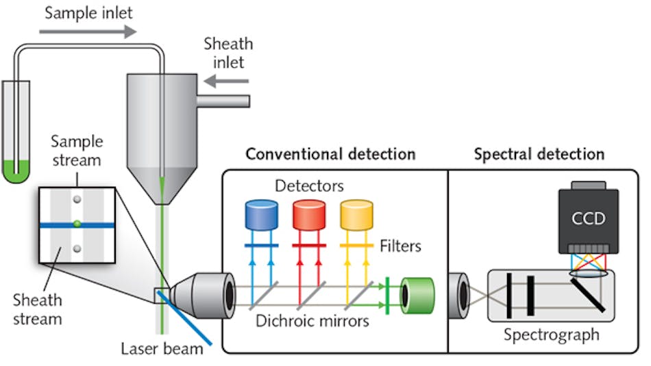 FIGURE 1. Flow cytometry passes a stream of labeled cells in front of laser beams and an objective lens collects light emitted by the cells. In conventional systems, the laser wavelengths are matched to excite the cells&rsquo; labels, and the light collected by the objective passes through dichroic mirrors and filters to PMTs. In spectral systems, light from each of the lasers illuminates all of the labels, and the earliest of these systems featured dispersive optics that distributed fluorescence emission onto linear detector arrays. (Adapted from http://nolanlab.com/spectral-fc.html [4])