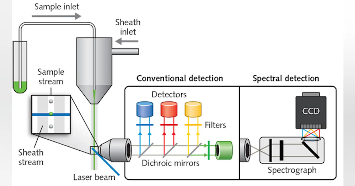 Cytometry/Spectroscopy: Optics and photonics advance spectral flow ...