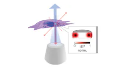 Once internalized into a cell, a nanodisk laser is optically pumped by a microscope objective (blue). The same objective collects laser emission (red). The inset shows the calculated profile of the lowest radial order transverse electric (TE) mode for a 750-nm-diameter disk made of a GaInP/AlGaInP quantum-well structure.
